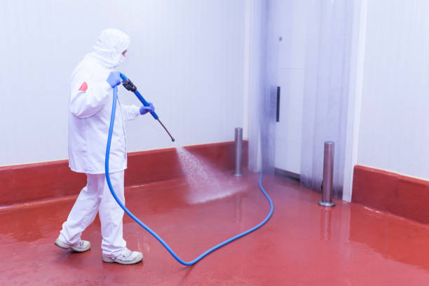Pre-Holiday Cleaning in Salem Heights, OH